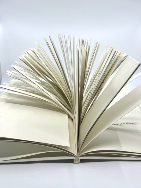 Raymond Queneau. Cent mille milliards de poèmes.  Édition originale, Paris, Gallimard, 1961.