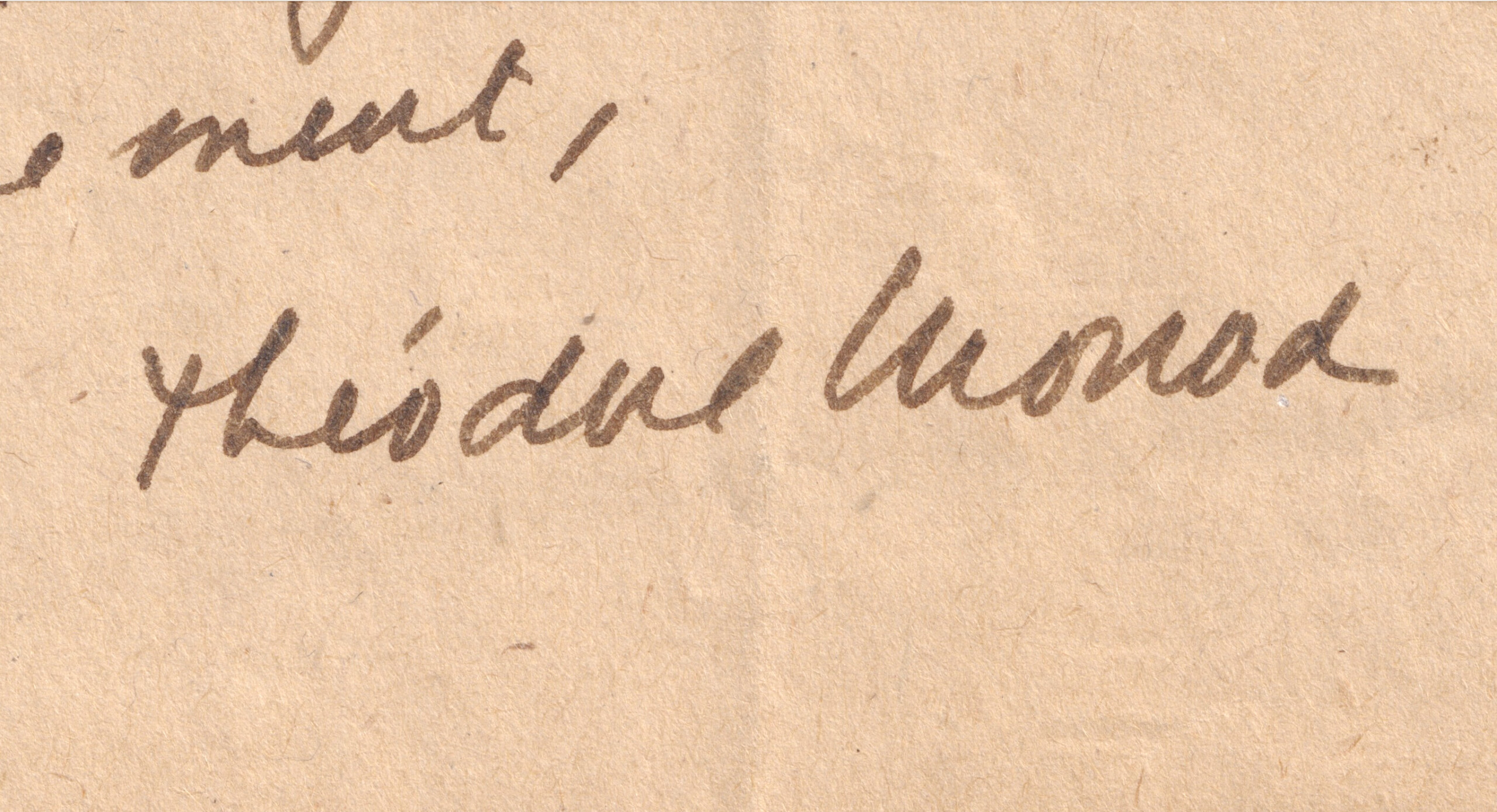 Théodore Monod - Lettre autographe signée